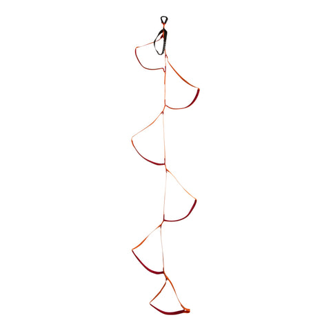 Black Diamond 6-Step Etrier