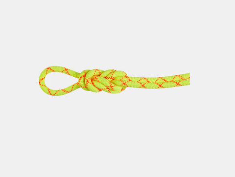 Alpine Core Protect Dry Rope