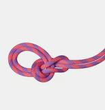 9.5 Crag Dry Rope