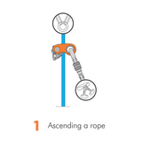 Rollnlock Ascender
